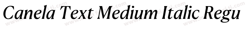 Canela Text Medium Italic RegularVe字体转换